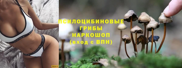 прущие грибы Киренск