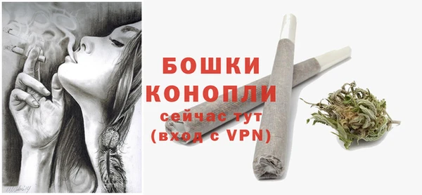прущие грибы Киренск