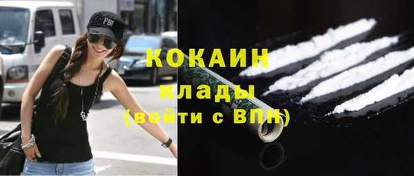 прущие грибы Киренск