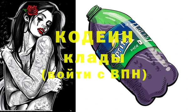 прущие грибы Киренск