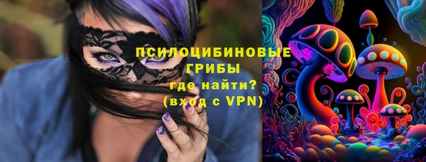 прущие грибы Киренск