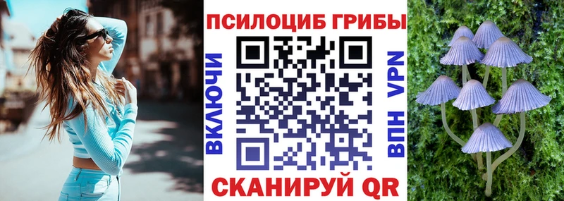 Псилоцибиновые грибы Psilocybe Ясный