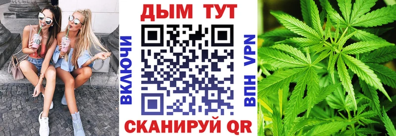 Конопля конопля  Купить  Ясный 